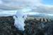 Joubertina_Snow_20070523_080