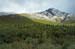 Joubertina_Snow_20070522_18