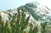 Joubertina_Snow_20070522_27